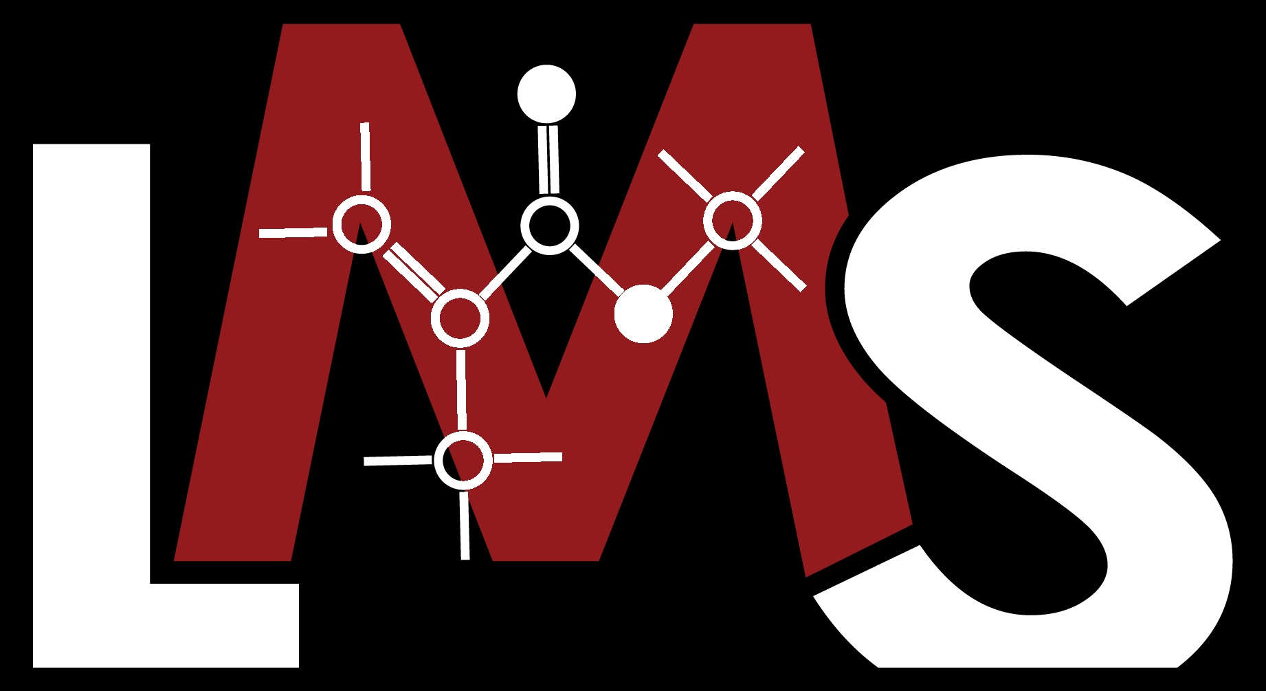 LMS Metacrilati S.r.l. logo